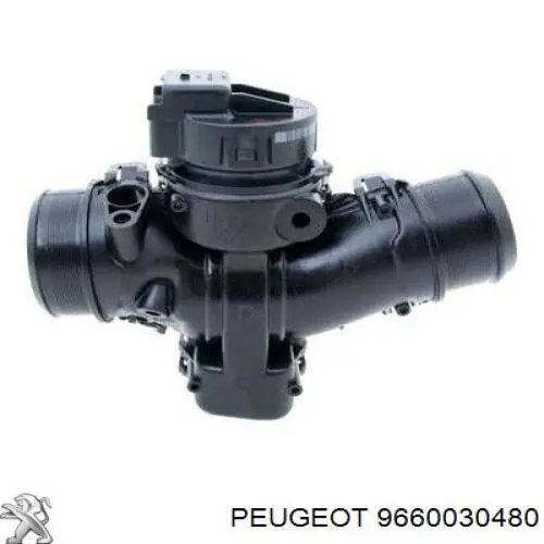 9660030480 Peugeot/Citroen Mariposa de admisión