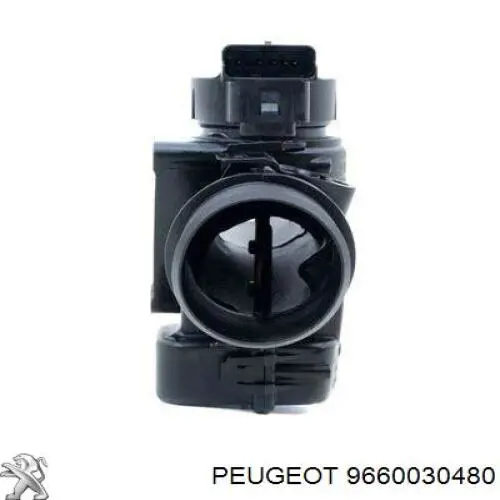 Comprar 9660030480 Peugeot/Citroen Cuerpo de mariposa