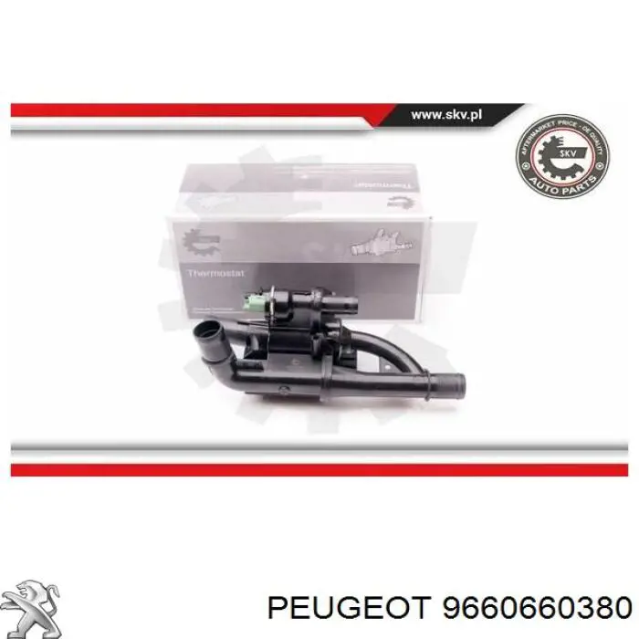 9660660380 Peugeot/Citroen termostato