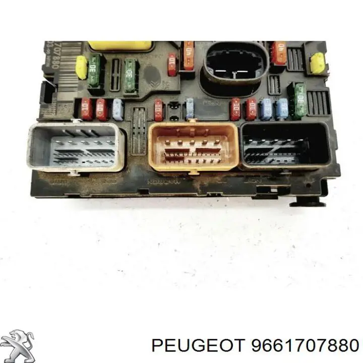 9661707880 Peugeot/Citroen 
