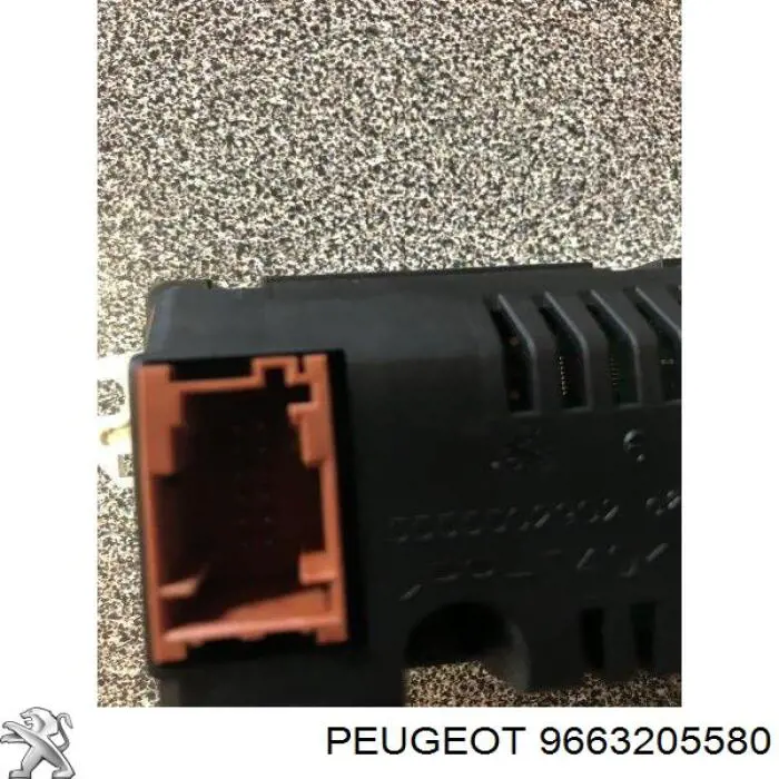  9663205580 Peugeot/Citroen