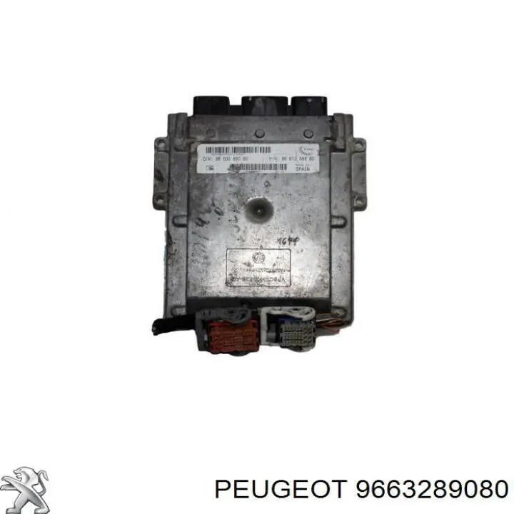 9663289080 Peugeot/Citroen