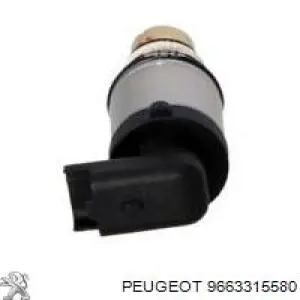 9663315580 Peugeot/Citroen compresor de aire acondicionado