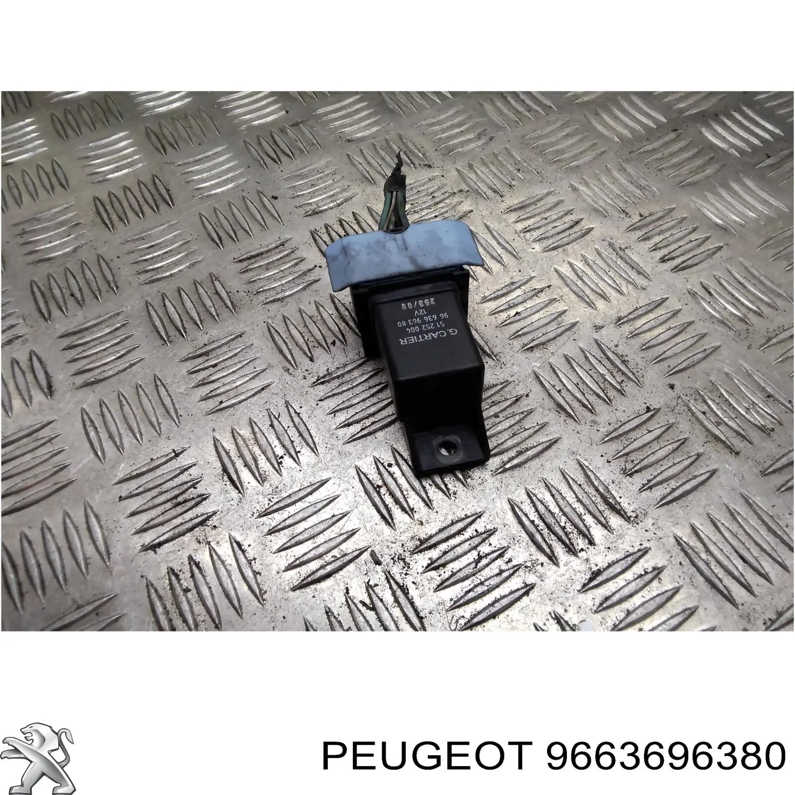 9663696380 Peugeot/Citroen 