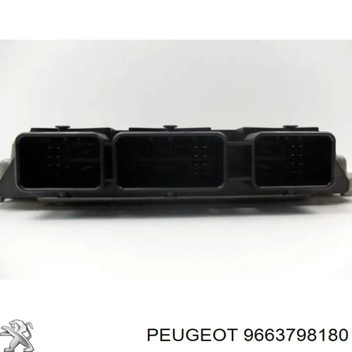 9663798180 Peugeot/Citroen 