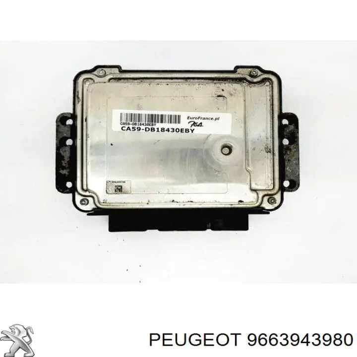 9663943980 Peugeot/Citroen Centralina Del Motor