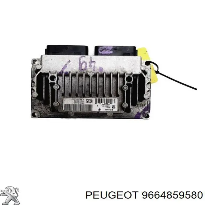 9664859580 Peugeot/Citroen 