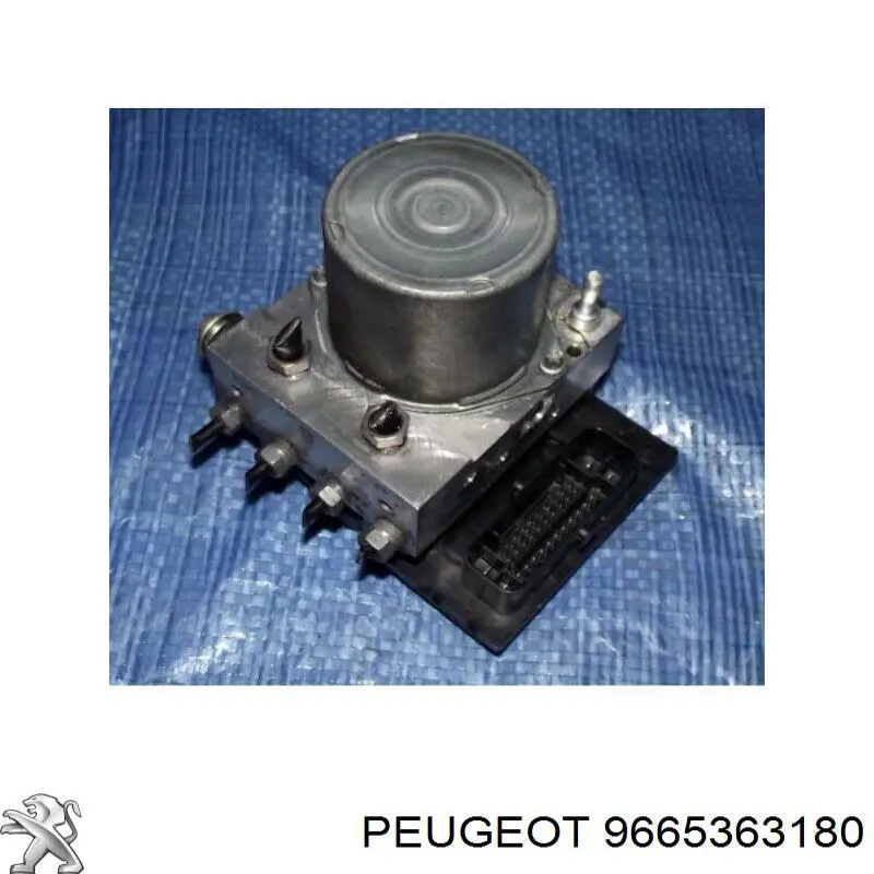 Comprar 9665363180 Peugeot/Citroen 