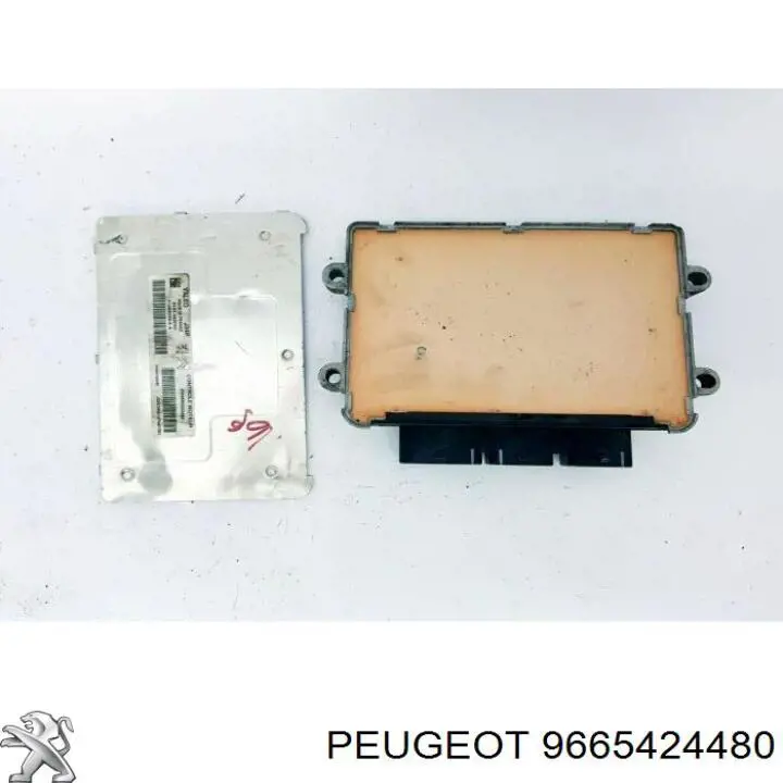  9665424480 Peugeot/Citroen