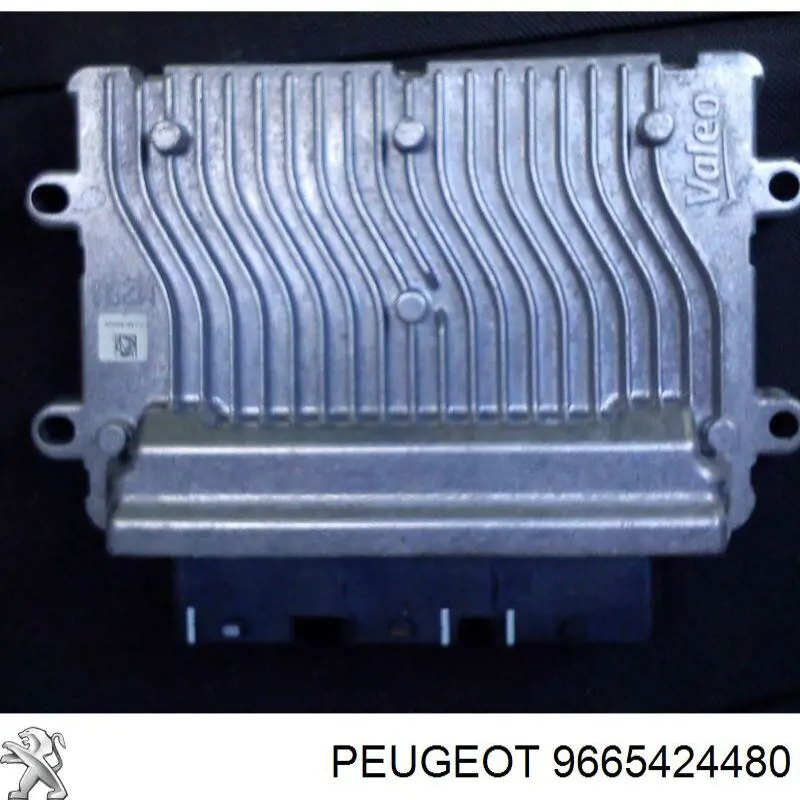  Peugeot/Citroen 9665424480 precio, desde 220,70 EUR