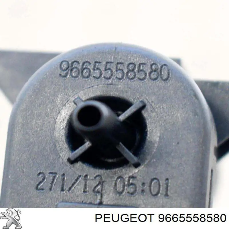 9665558580 Peugeot/Citroen 