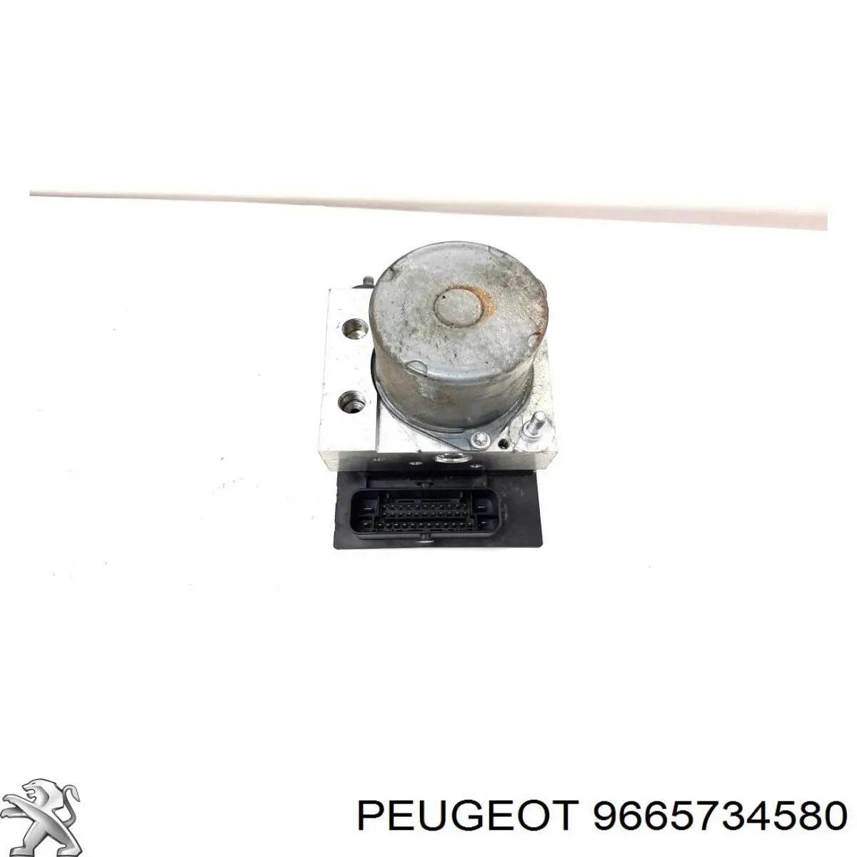  Peugeot/Citroen 9665734580
