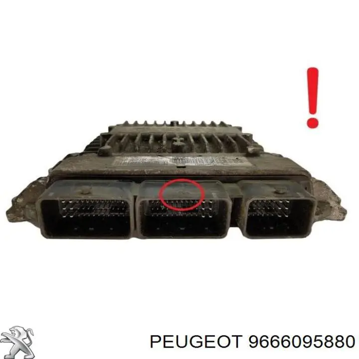  5WS40613B Fiat/Alfa/Lancia