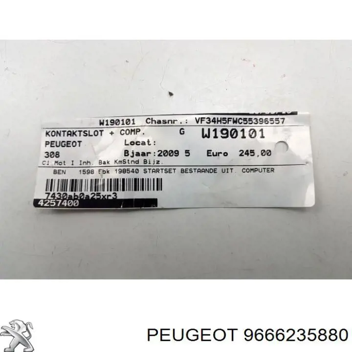 9666235880 Peugeot/Citroen 
