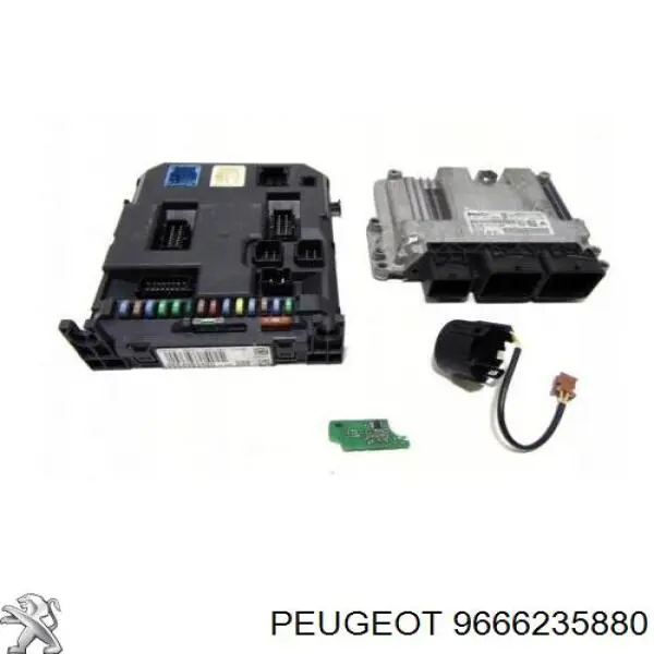 Peugeot/Citroen 9666235880 precio, desde 181,50 EUR