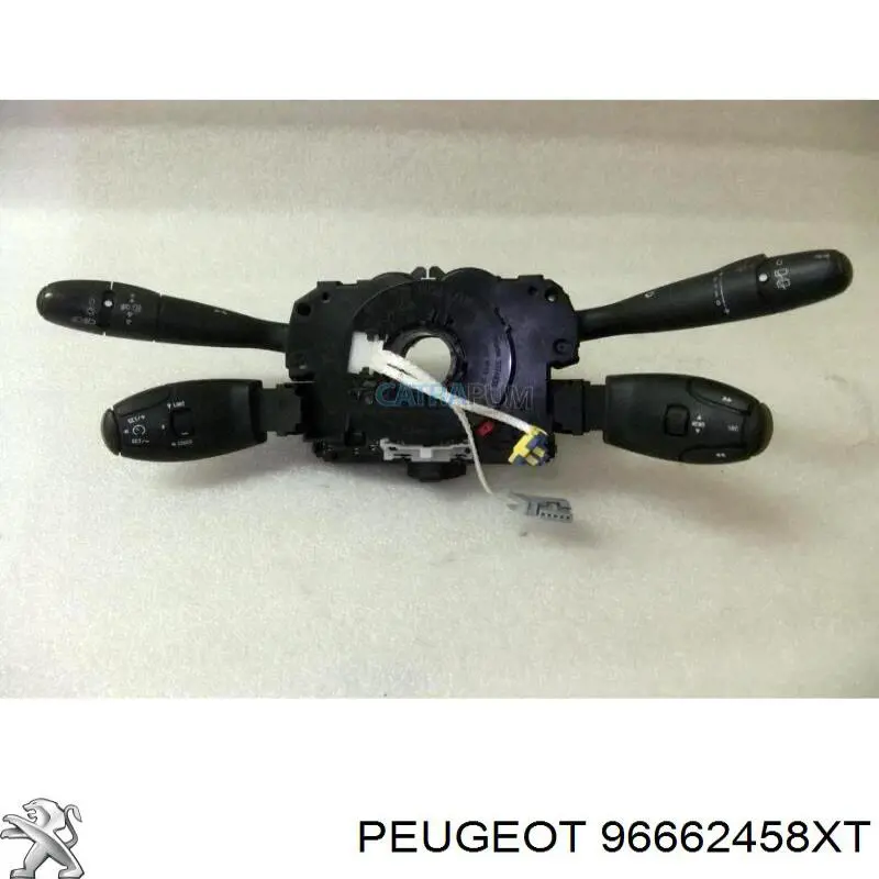 96662458XT Peugeot/Citroen 