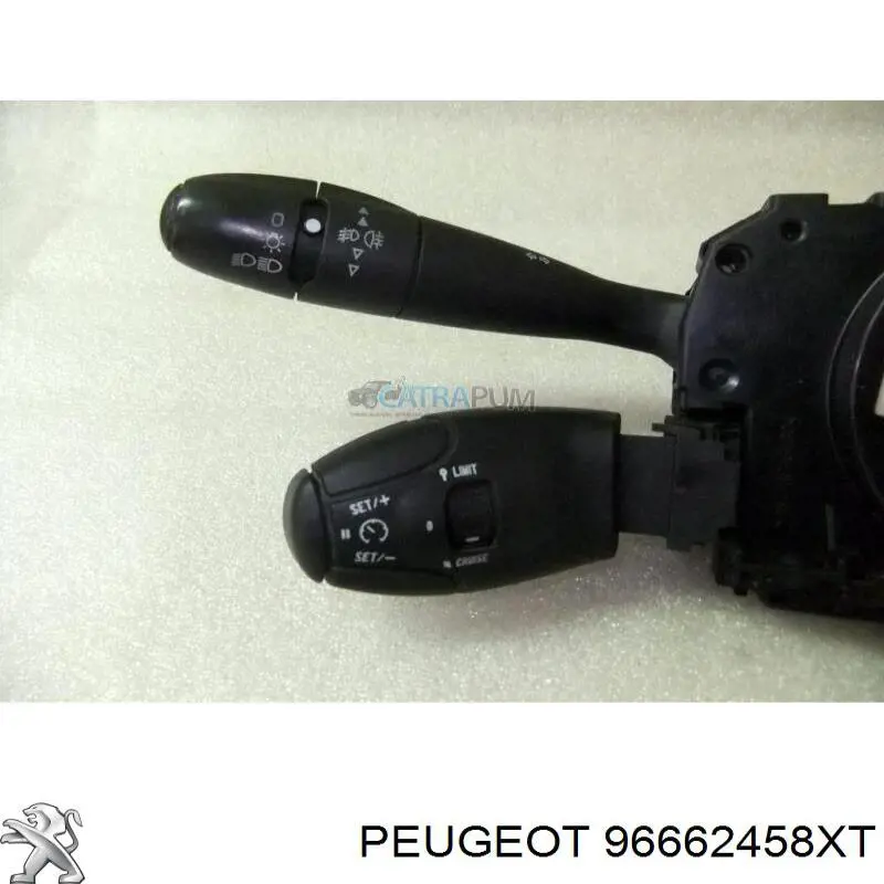  Peugeot/Citroen 96662458XT precio, desde 158,27 EUR