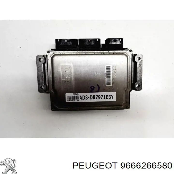 Comprar 9666266580 Peugeot/Citroen ECU