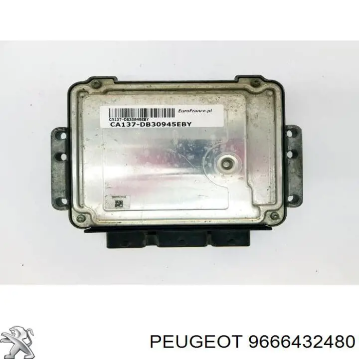 Comprar 9666432480 Peugeot/Citroen 