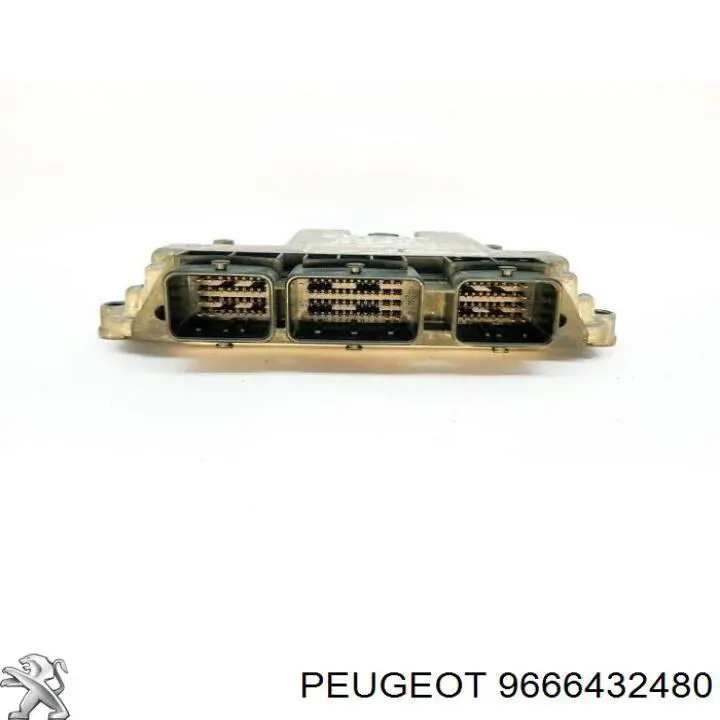  9666432480 Peugeot/Citroen