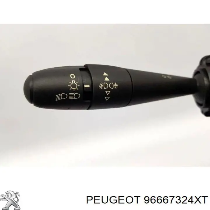 96667324XT Peugeot/Citroen 