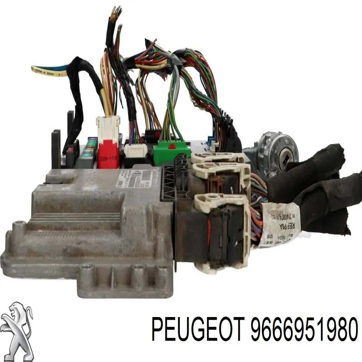  Peugeot/Citroen 9666951980