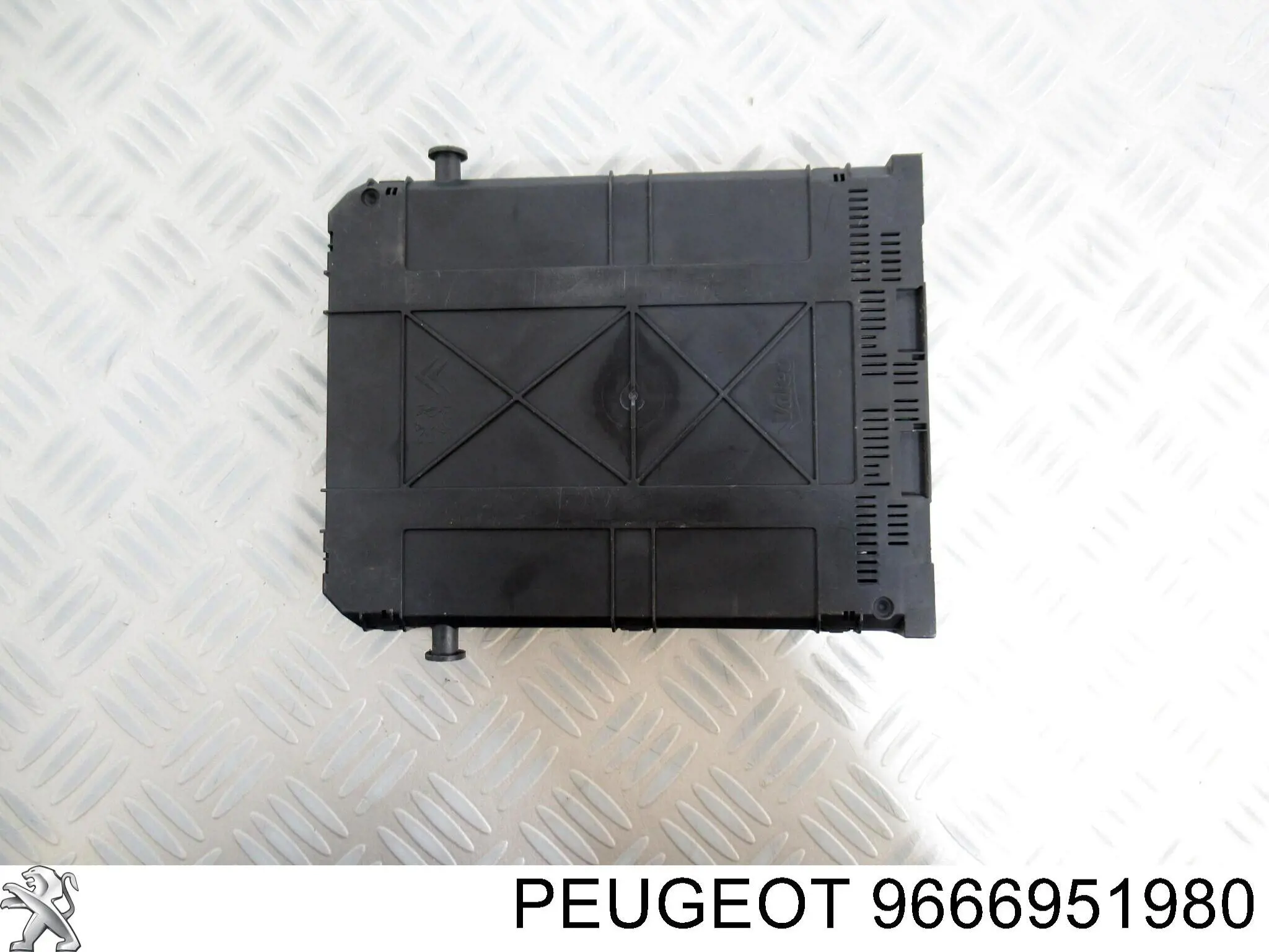 9666951980 Peugeot/Citroen 