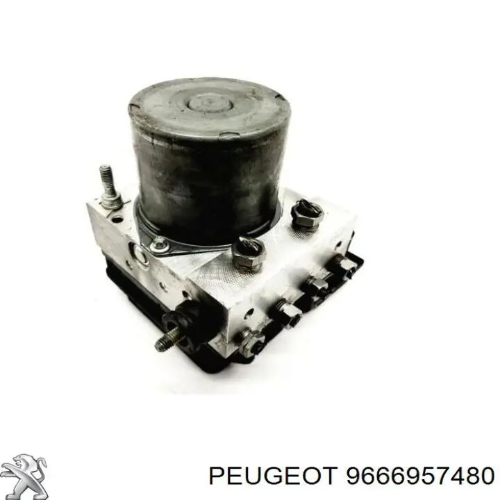  9666957480 Peugeot/Citroen