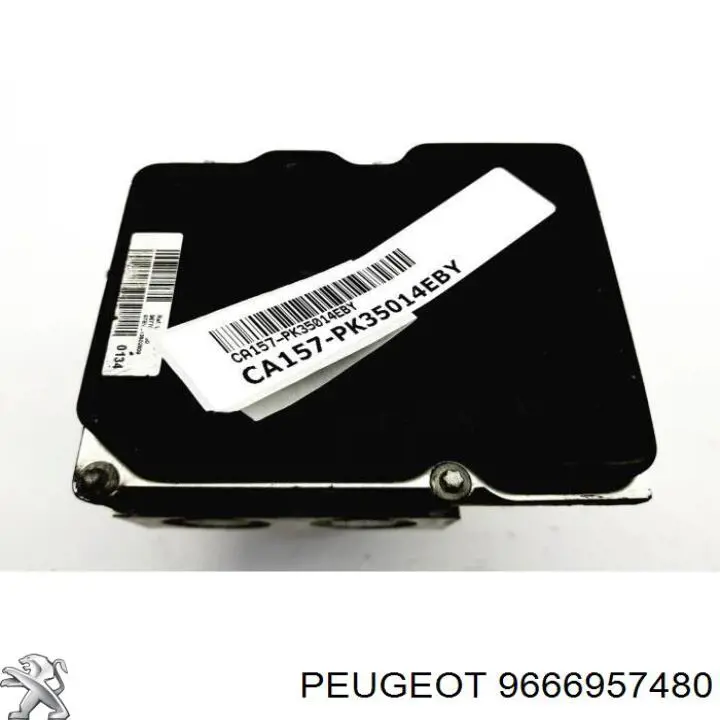 9666957480 Peugeot/Citroen 