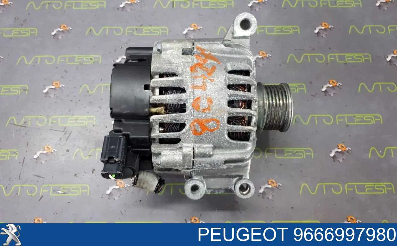 9666997980 Peugeot/Citroen alternador