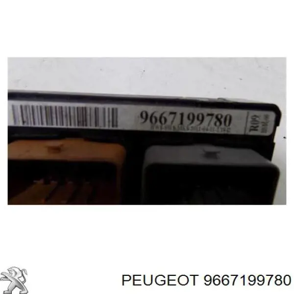 9667199780 Peugeot/Citroen