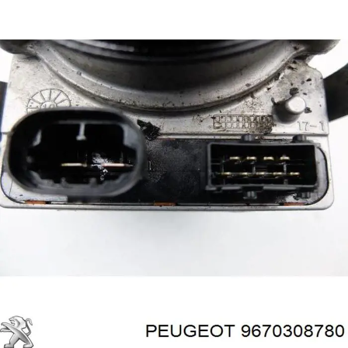  9670308780 Peugeot/Citroen