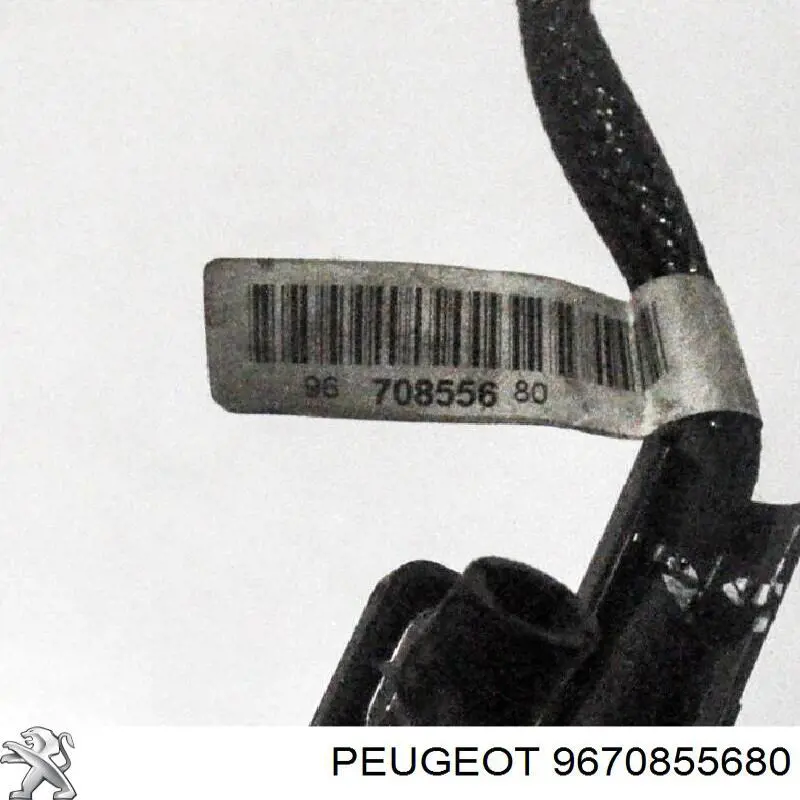 9670855680 Peugeot/Citroen 
