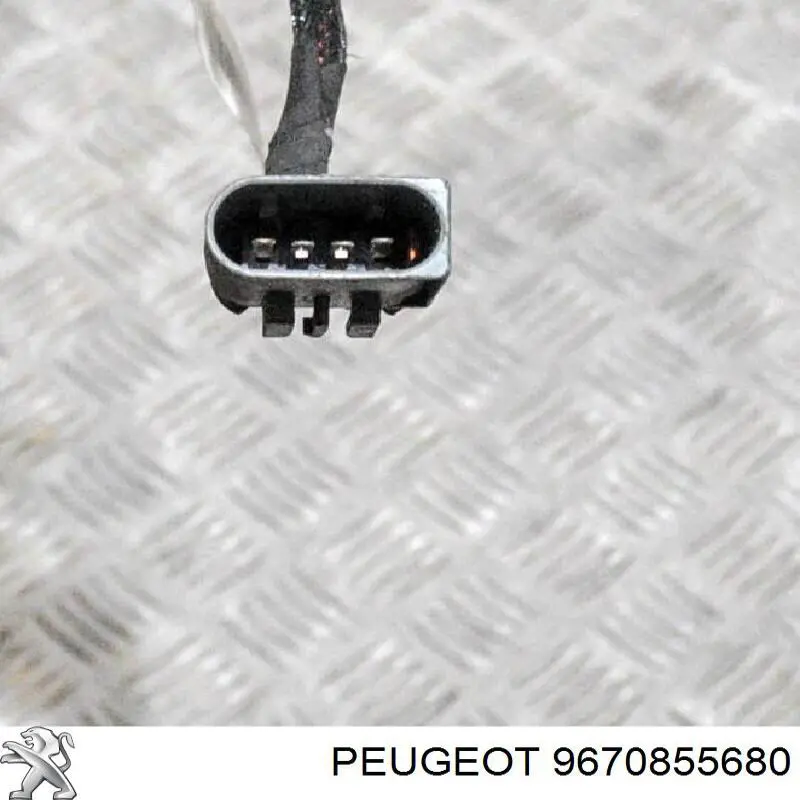  9670855680 Peugeot/Citroen
