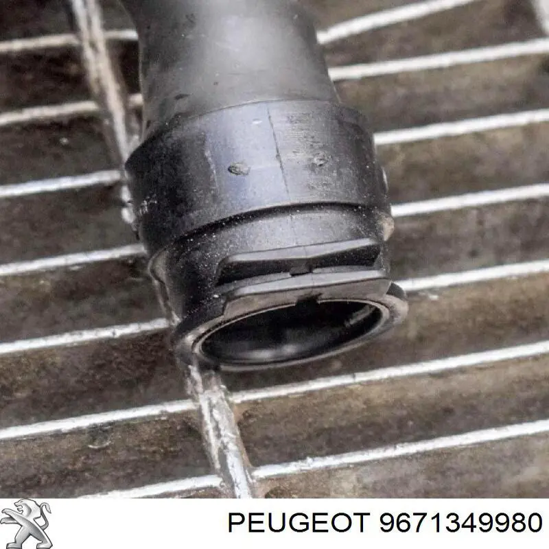 Comprar 9671349980 Peugeot/Citroen 