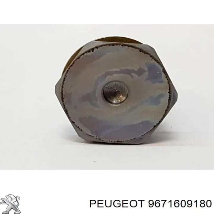 Tensor de la correa trapecial Peugeot/Citroen 9671609180 precio, desde 43,73 EUR
