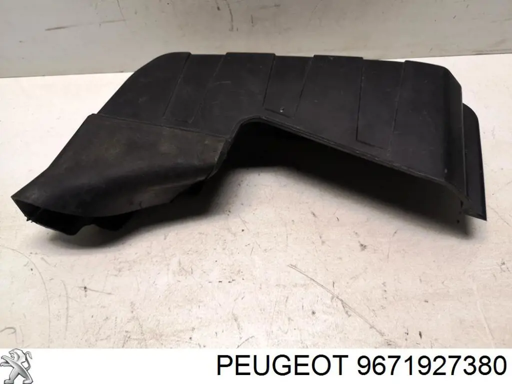 9671927380 Peugeot/Citroen cubierta de la carcasa de la ecu del motor