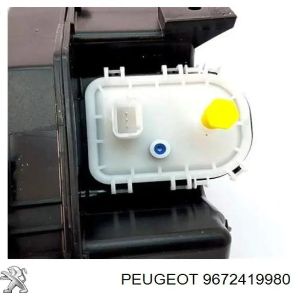 Depósito de Aditivo Peugeot/Citroen 9672419980