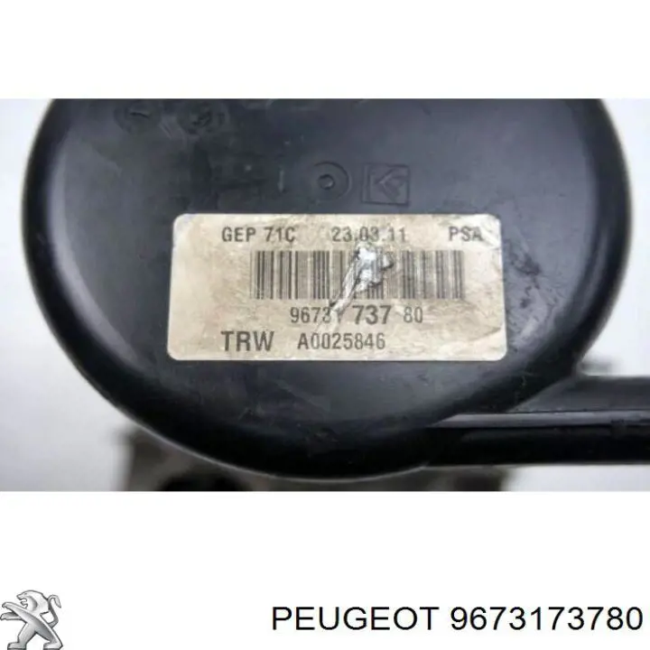 9673173780 Peugeot/Citroen