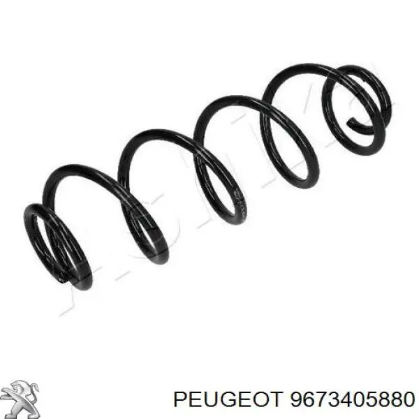 9673405880 Peugeot/Citroen muelle de suspensión eje trasero