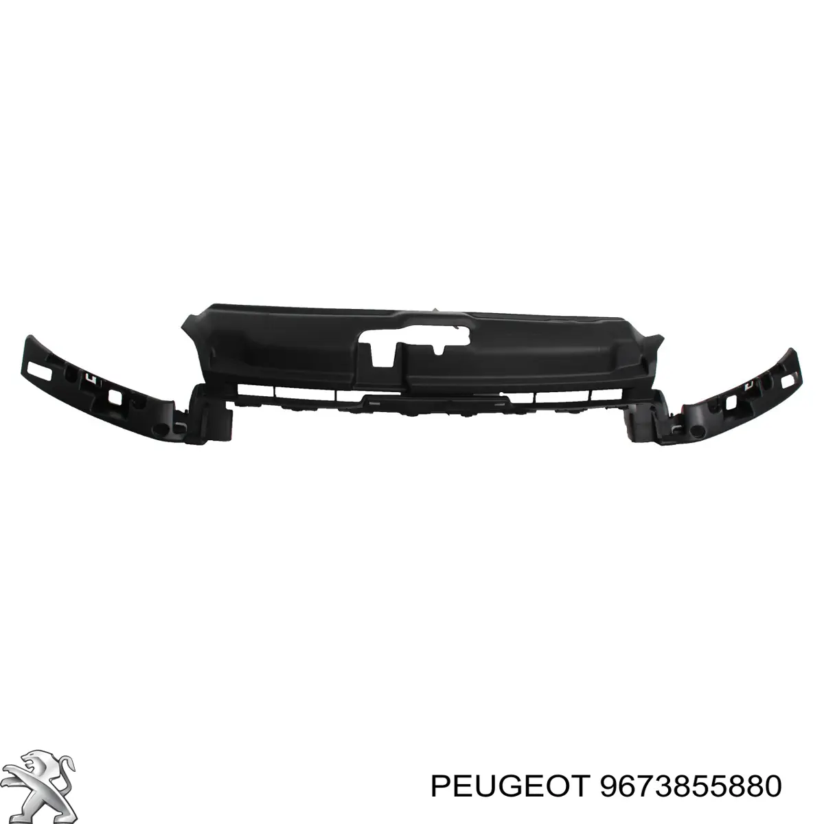Ajuste Panel Frontal (Calibrador De Radiador) Superior Peugeot/Citroen 9673855880