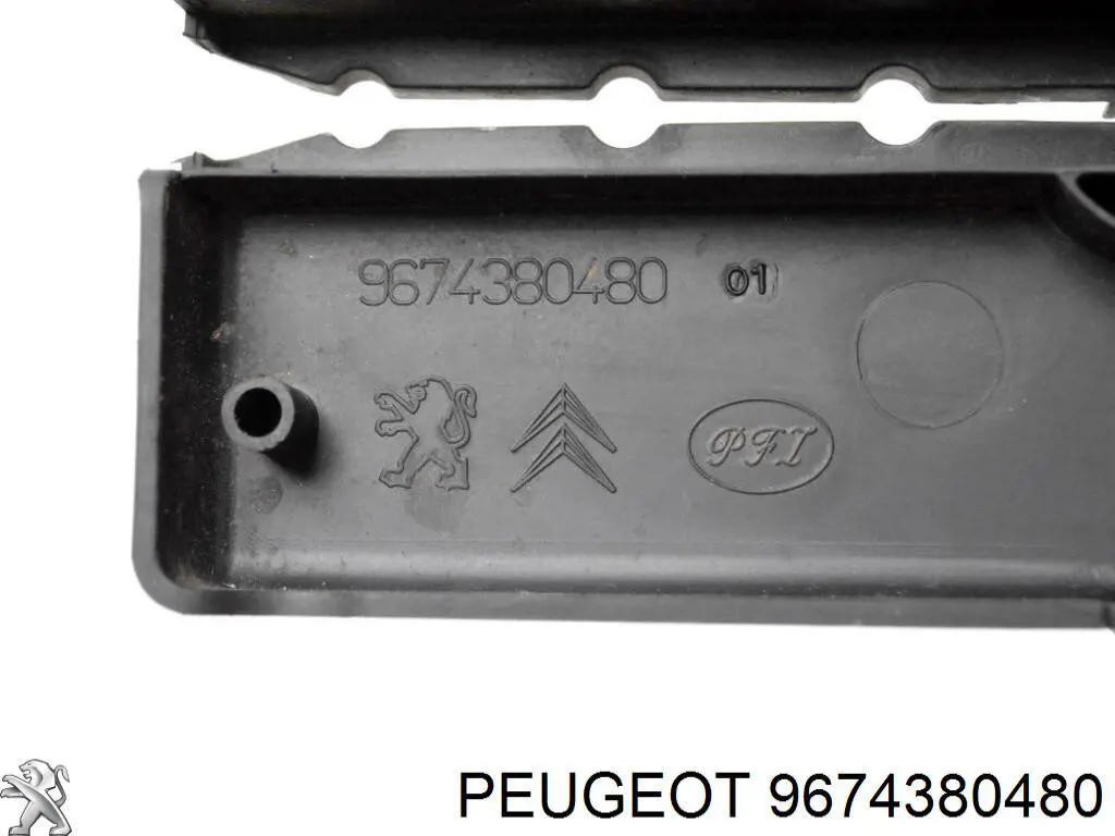 9674380480 Peugeot/Citroen 