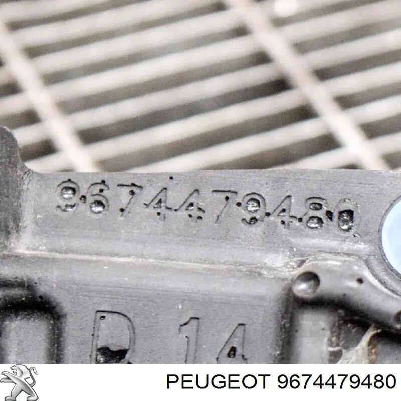  Peugeot/Citroen 9674479480 precio, desde 25,25 EUR