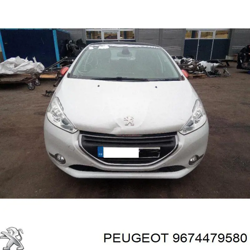  Peugeot/Citroen 9674479580 precio, desde 25,25 EUR