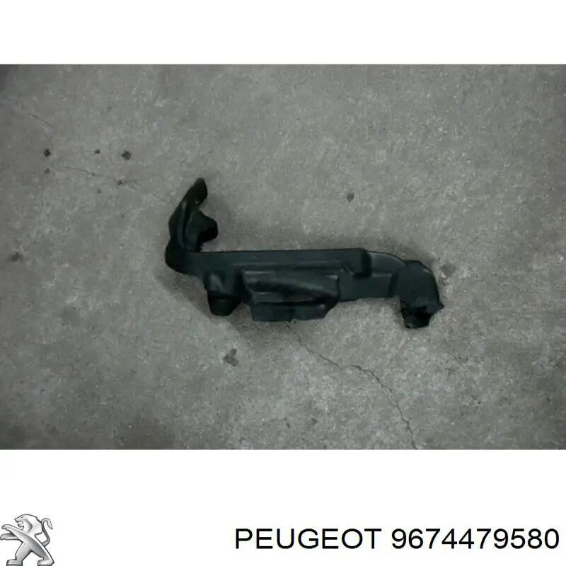 9674479580 Peugeot/Citroen