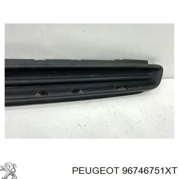 Rejilla de ventilación, paragolpes delantero, central Peugeot/Citroen 96746751XT precio, desde 33,09 EUR