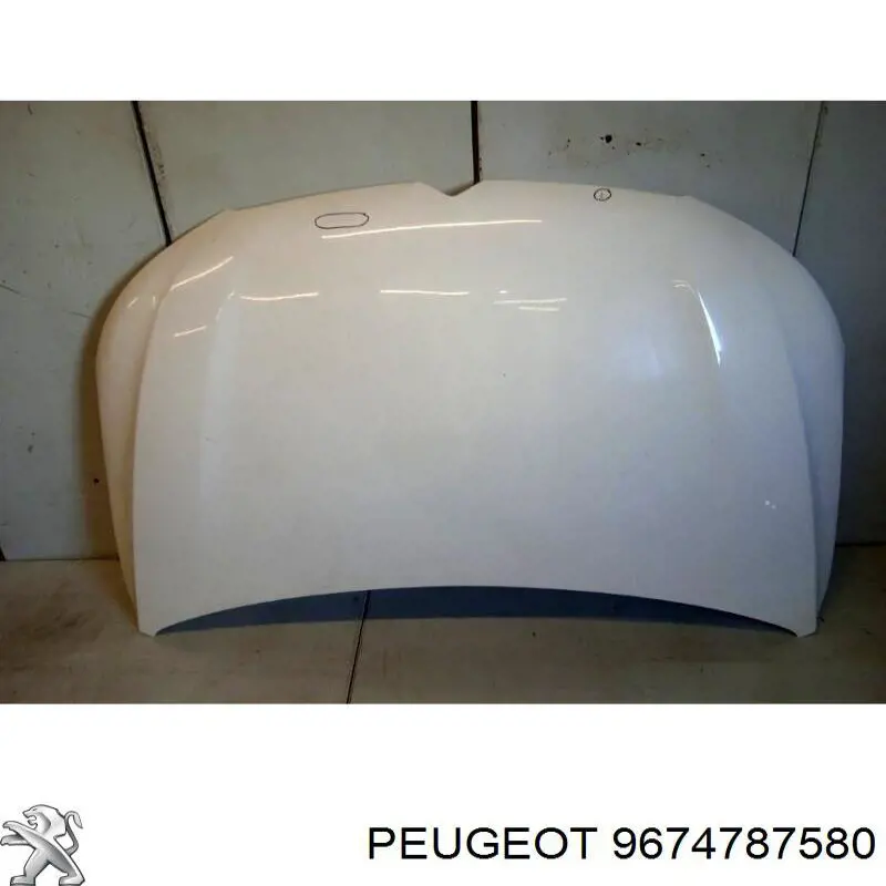 Capó del motor Peugeot/Citroen 9674787580 precio, desde 263,81 EUR