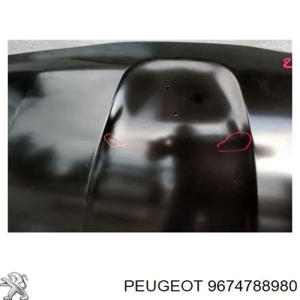 Comprar 9674788980 Peugeot/Citroen Capó