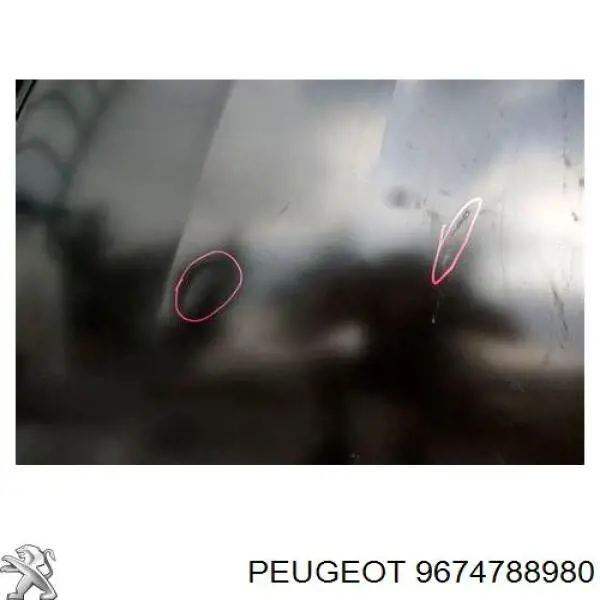 9674788980 Peugeot/Citroen capó