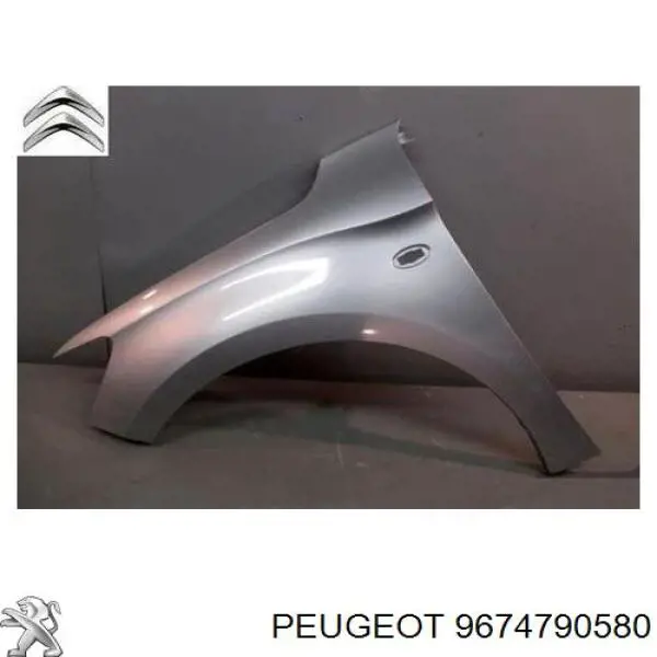 Aleta delantera izquierda Peugeot/Citroen 9674790580 precio, desde 78,40 EUR